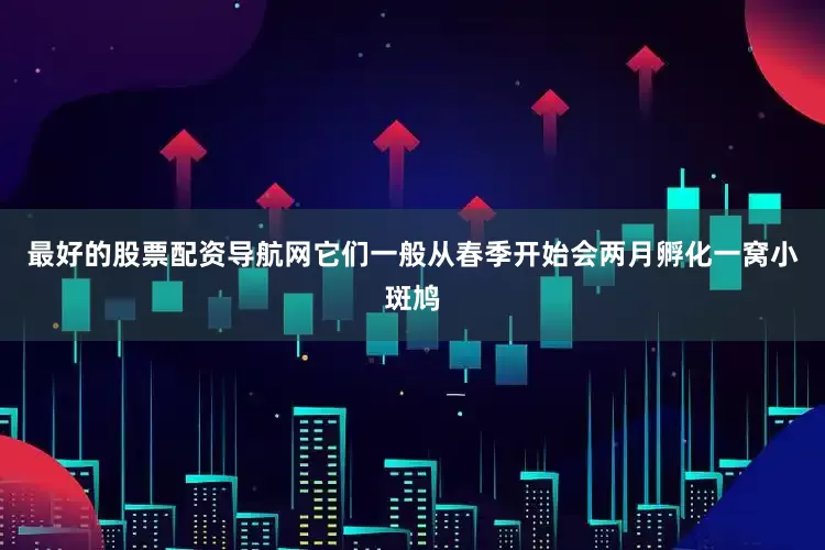 最好的股票配资导航网它们一般从春季开始会两月孵化一窝小斑鸠